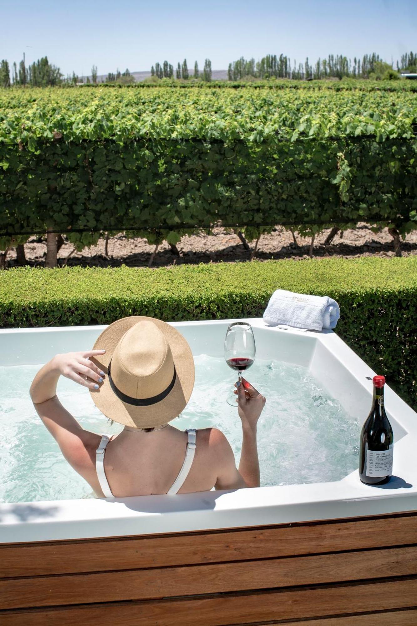 Las Compuertas Bodega Durigutti Family Winemakersヴィラ エクステリア 写真